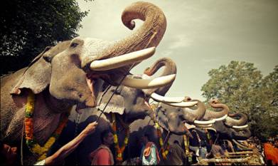 インド バサントパンチャミ